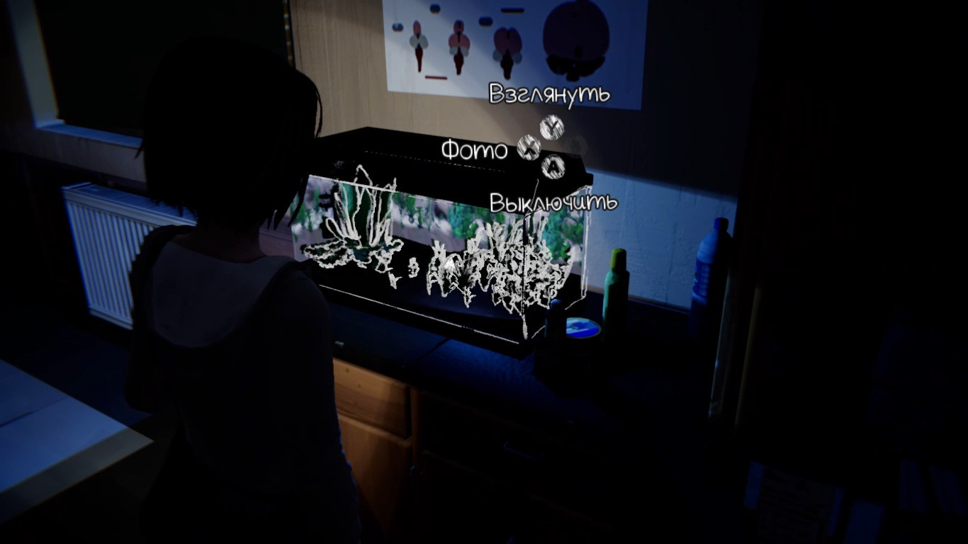 Гайд: Все фотографии в Life is Strange Remastered — третий эпизод - изображение 3 Гайд: Все фотографии в Life is Strange Remastered — третий эпизод - фото 3