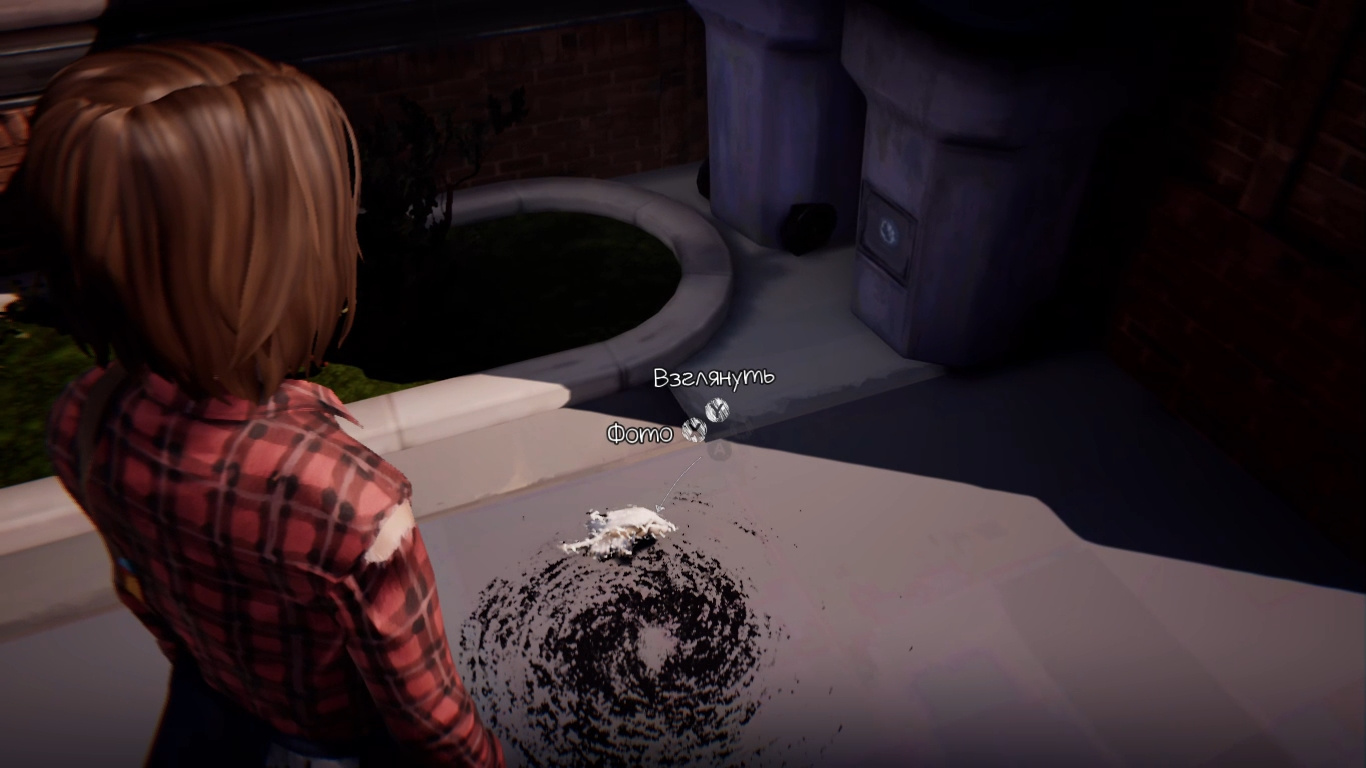 Гайд: Все фотографии в Life is Strange Remastered — третий эпизод - изображение 9 Гайд: Все фотографии в Life is Strange Remastered — третий эпизод - фото 9