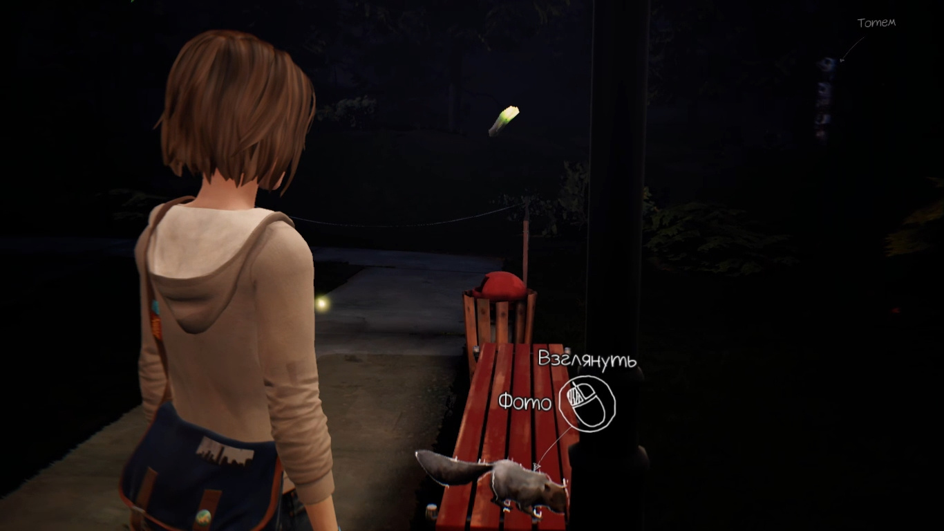 Гайд: Все фотографии в Life is Strange Remastered — третий эпизод - изображение 2 Гайд: Все фотографии в Life is Strange Remastered — третий эпизод - фото 2