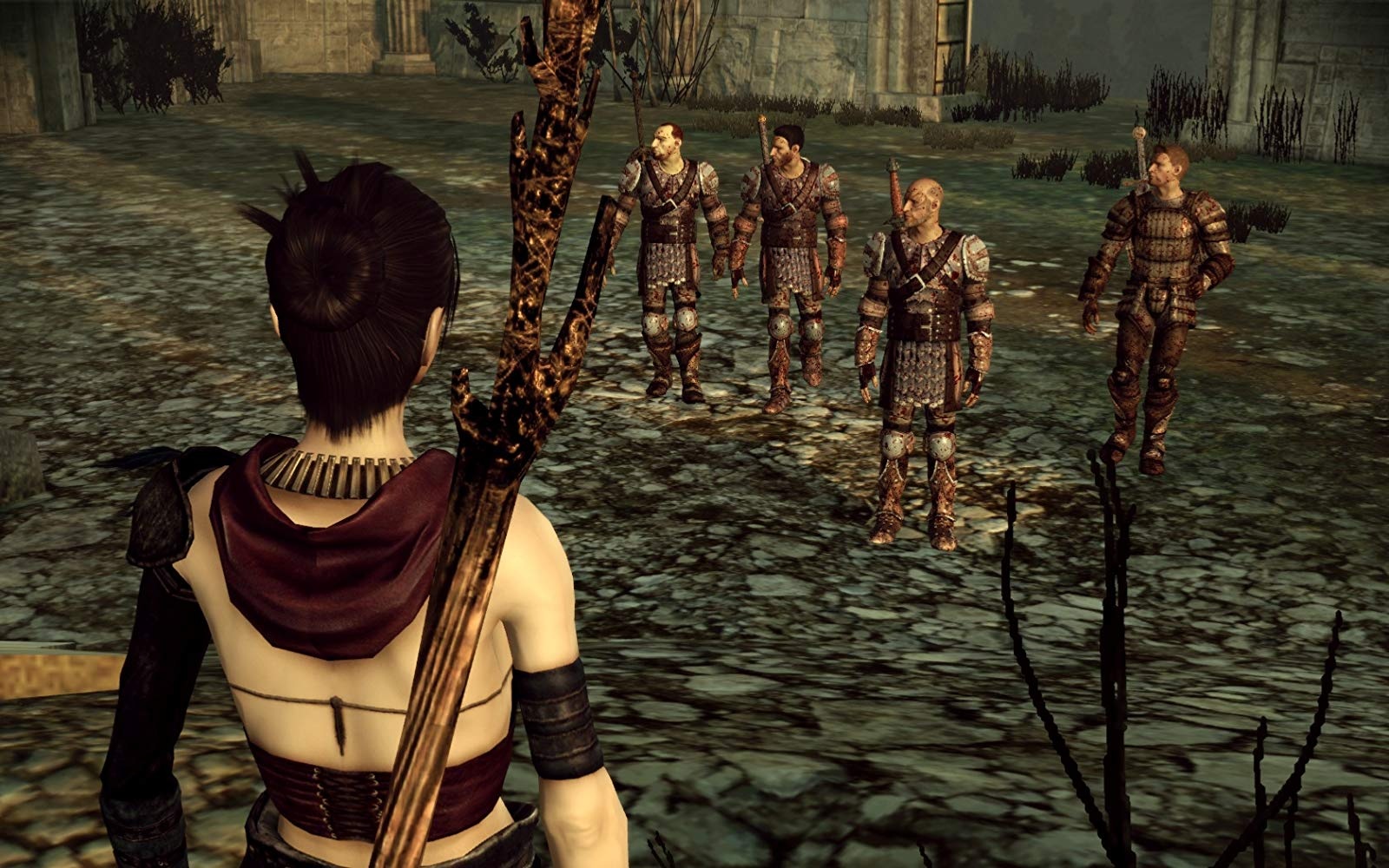 Источник: видеоигра Dragon Age: Origins