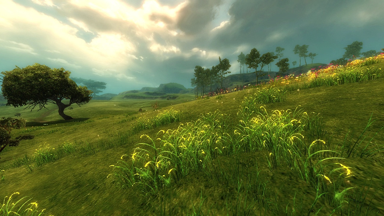 Guild Wars 2 - кадр 2