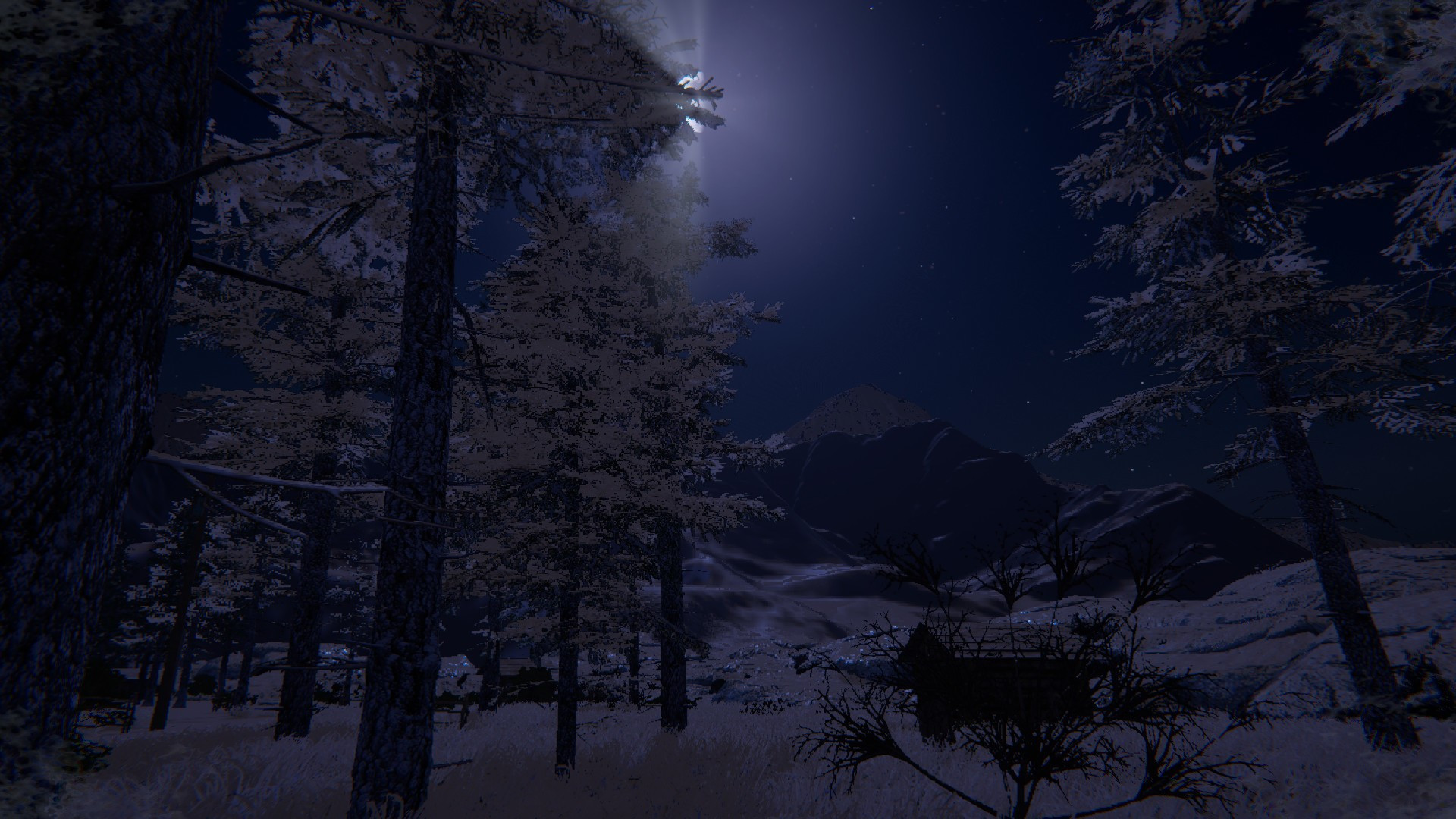 The Endless White - кадр 1