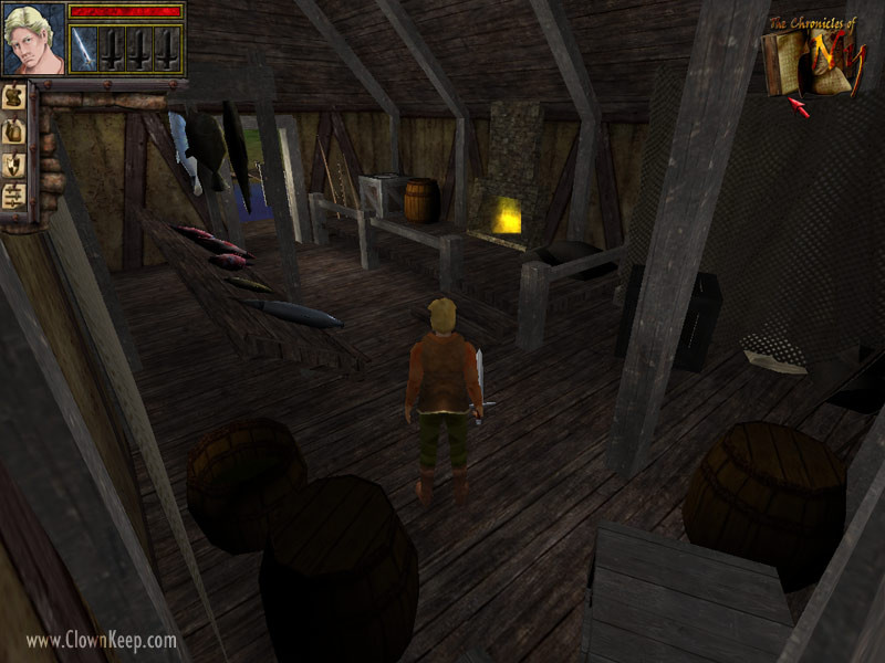The Chronicles of Ny Chapter One: Gatherings - кадр 1