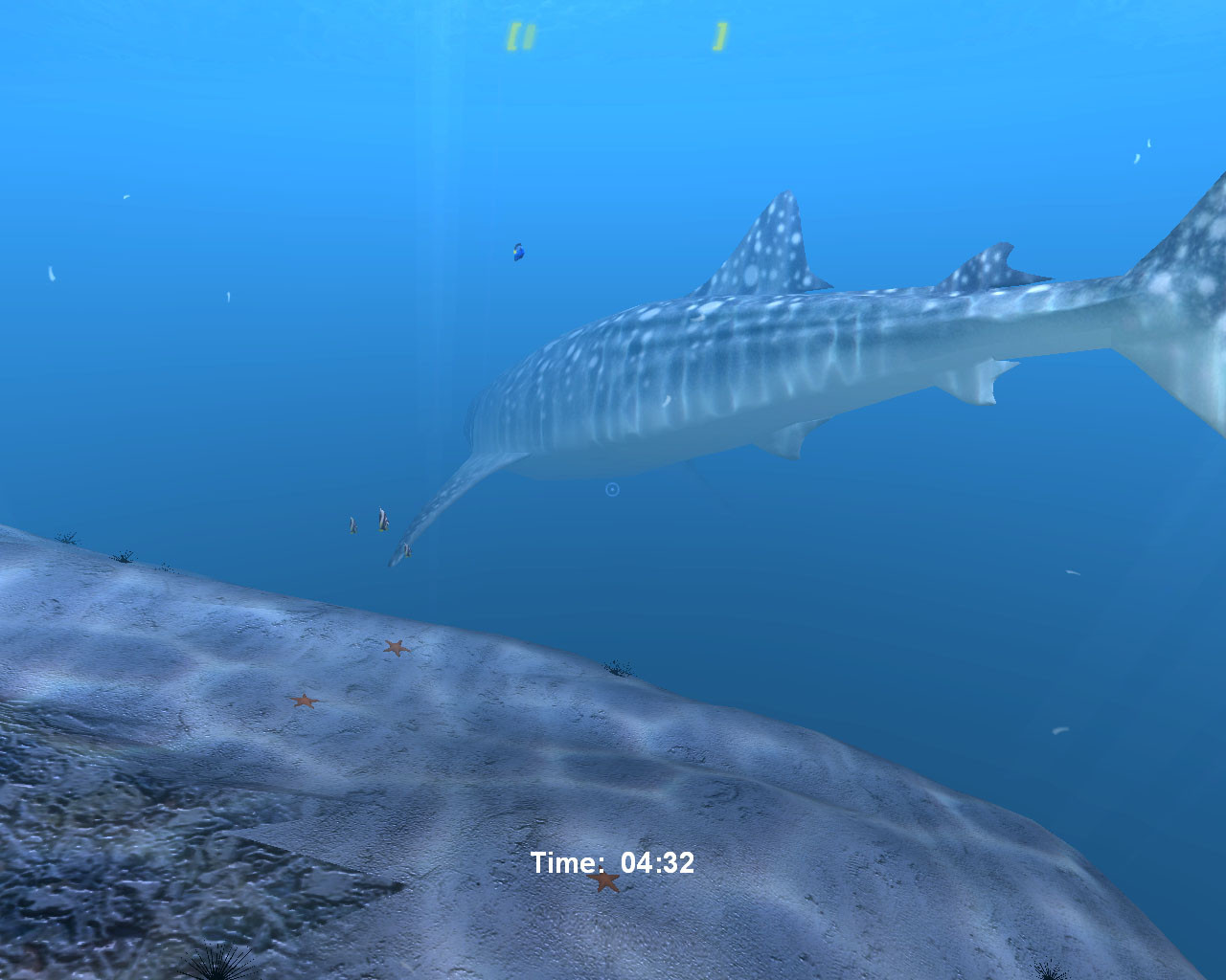 Diver: Deep Water Adventures - кадр 3