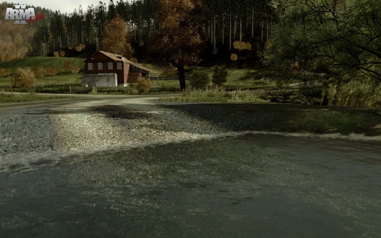 ArmA 2 - кадр 1