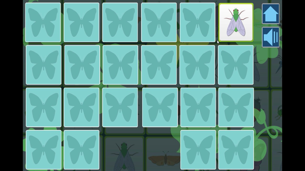 Insects - кадр 1