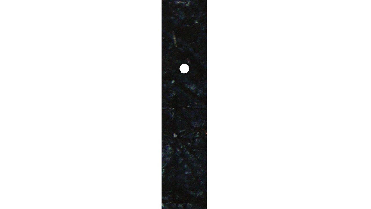 circled. (itch) - кадр 1