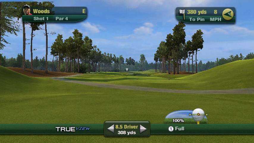 Tiger Woods PGA Tour 11 - кадр 2