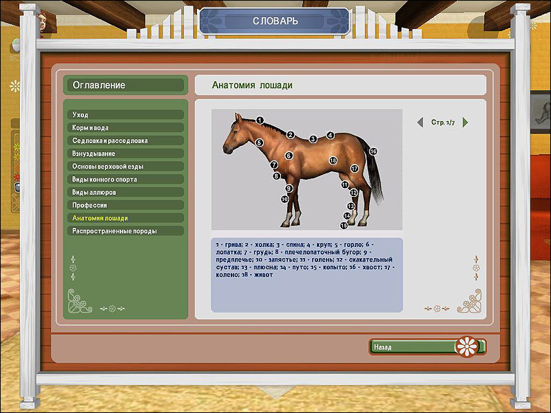 Pferd & Pony: Lass uns reiten 2 - кадр 1