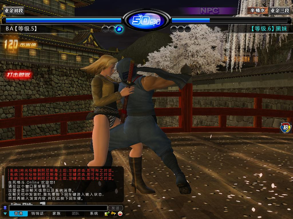 Dead or Alive Online - кадр 4