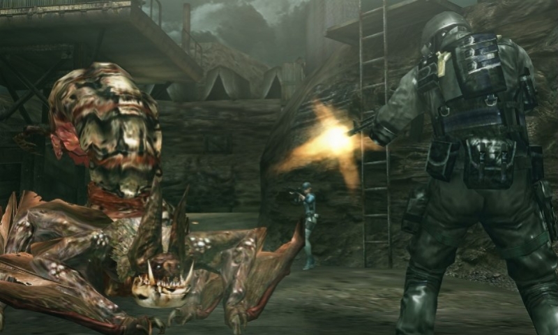 Resident Evil: The Mercenaries 3D - кадр 1