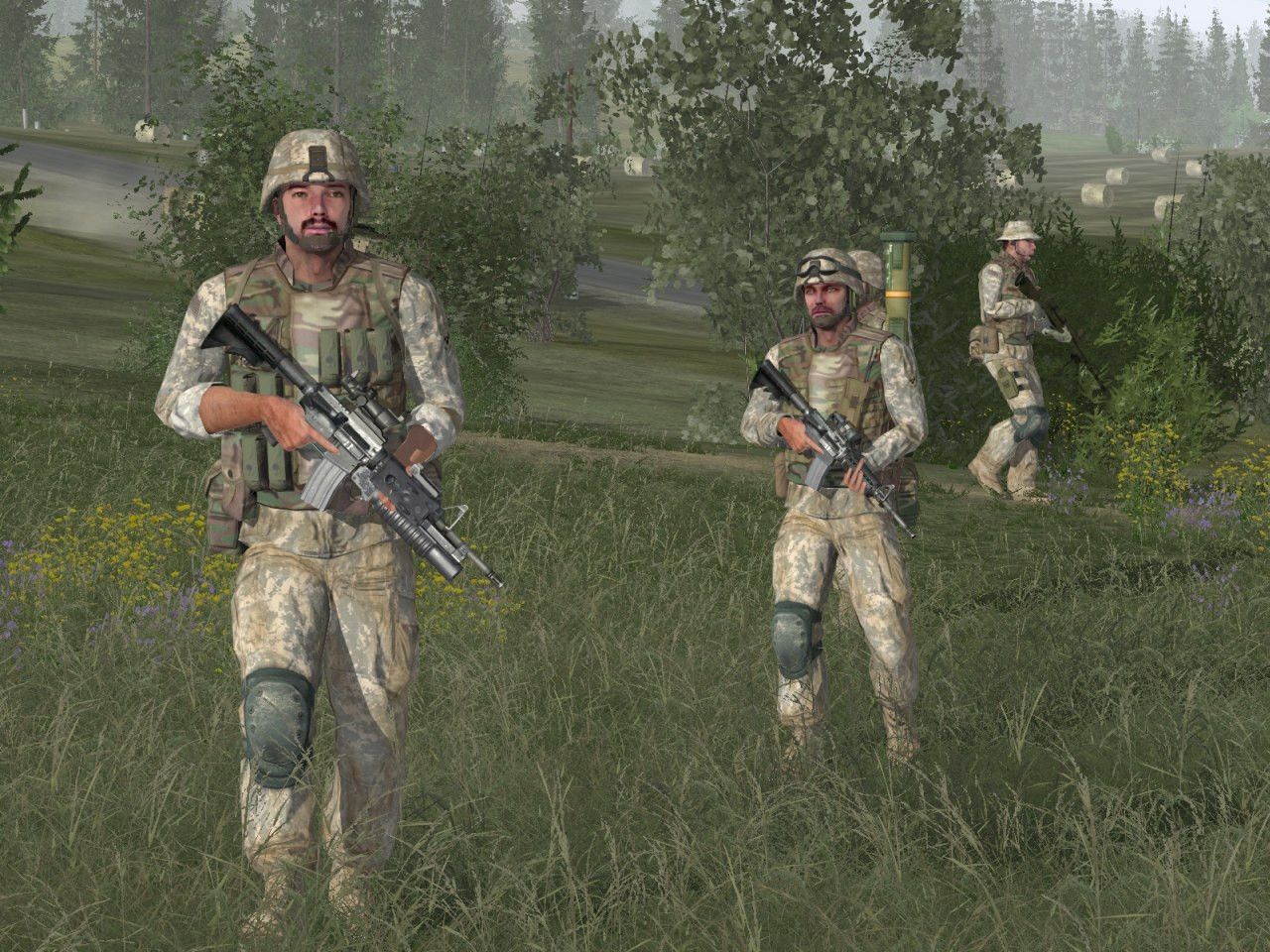 Arma: Armed Assault - кадр 2