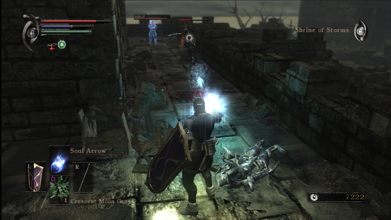 Demon's Souls - кадр 3