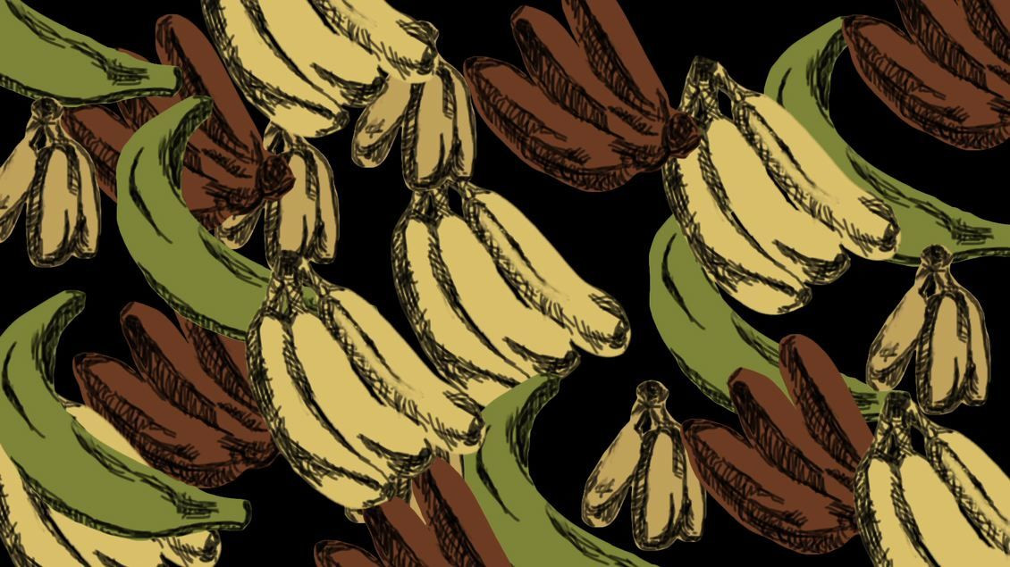 bnn (itch) - кадр 1