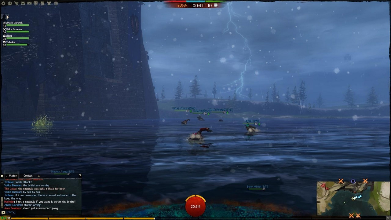 Guild Wars 2 - кадр 11