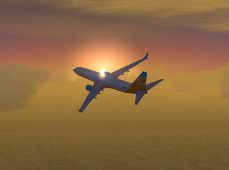 Microsoft Flight Simulator X - кадр 1