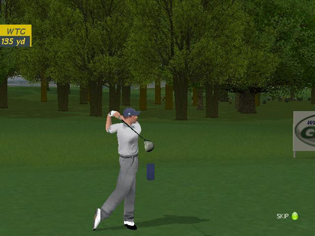 ProStroke Golf: World Tour 2007 - кадр 3