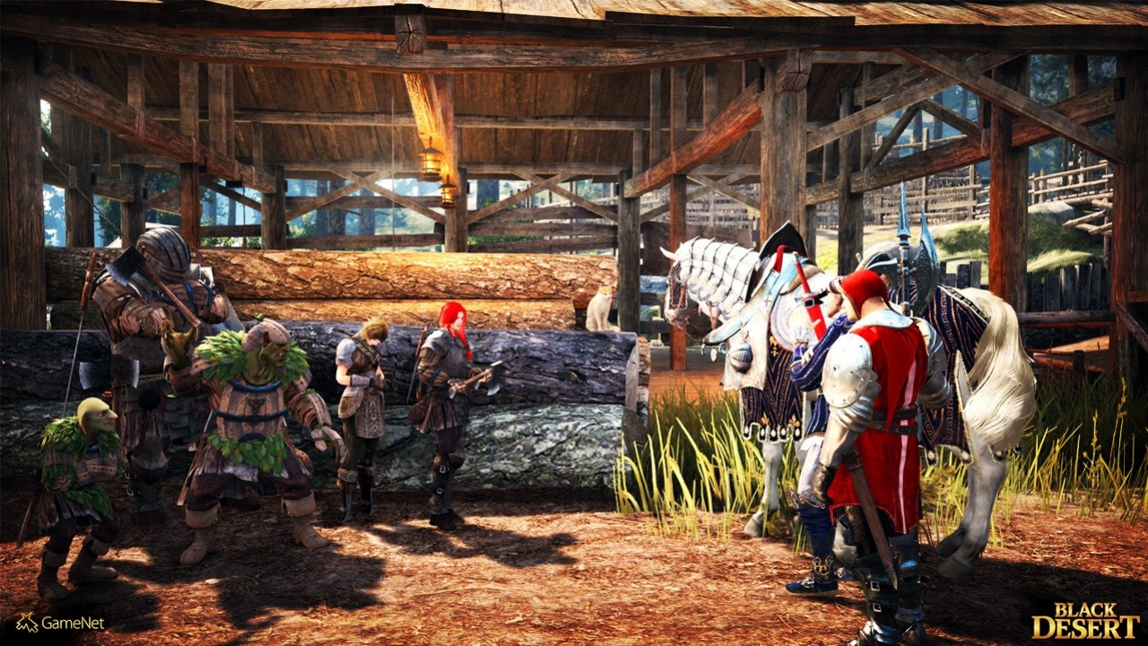 Black Desert - кадр 2