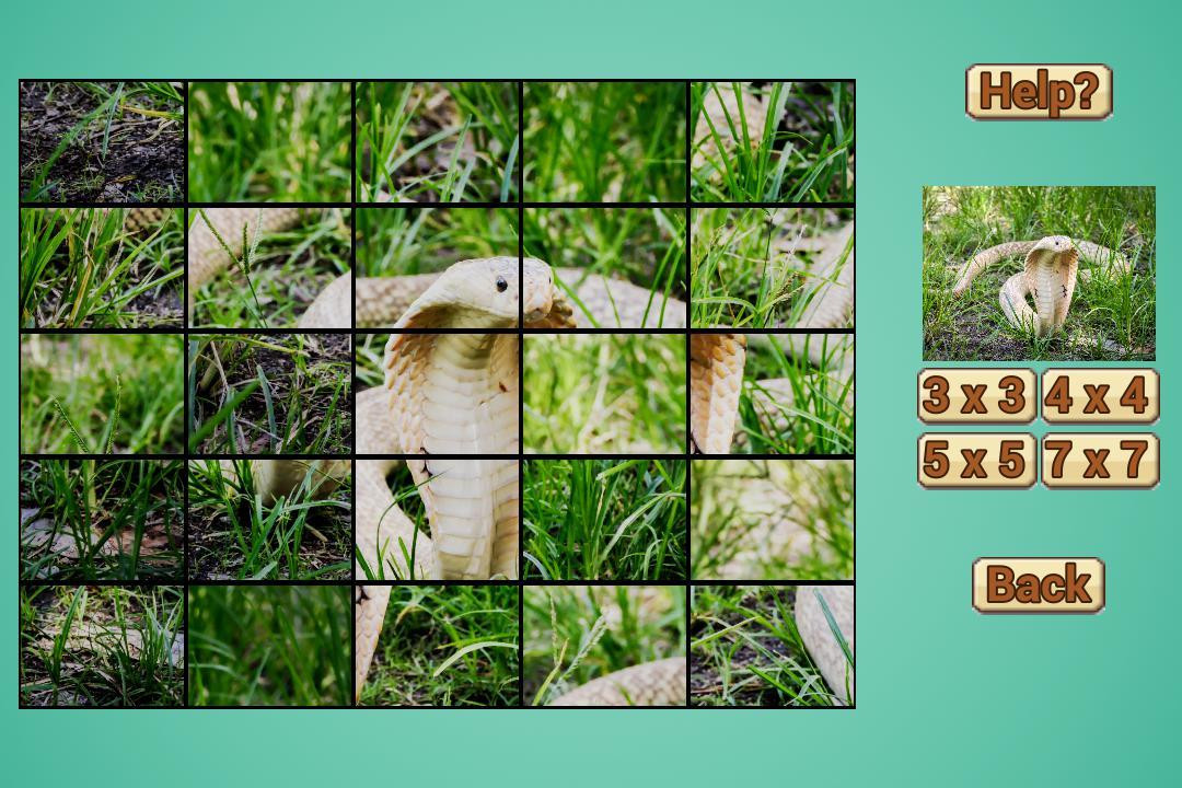 Snake Puzzle HD (itch) - кадр 1