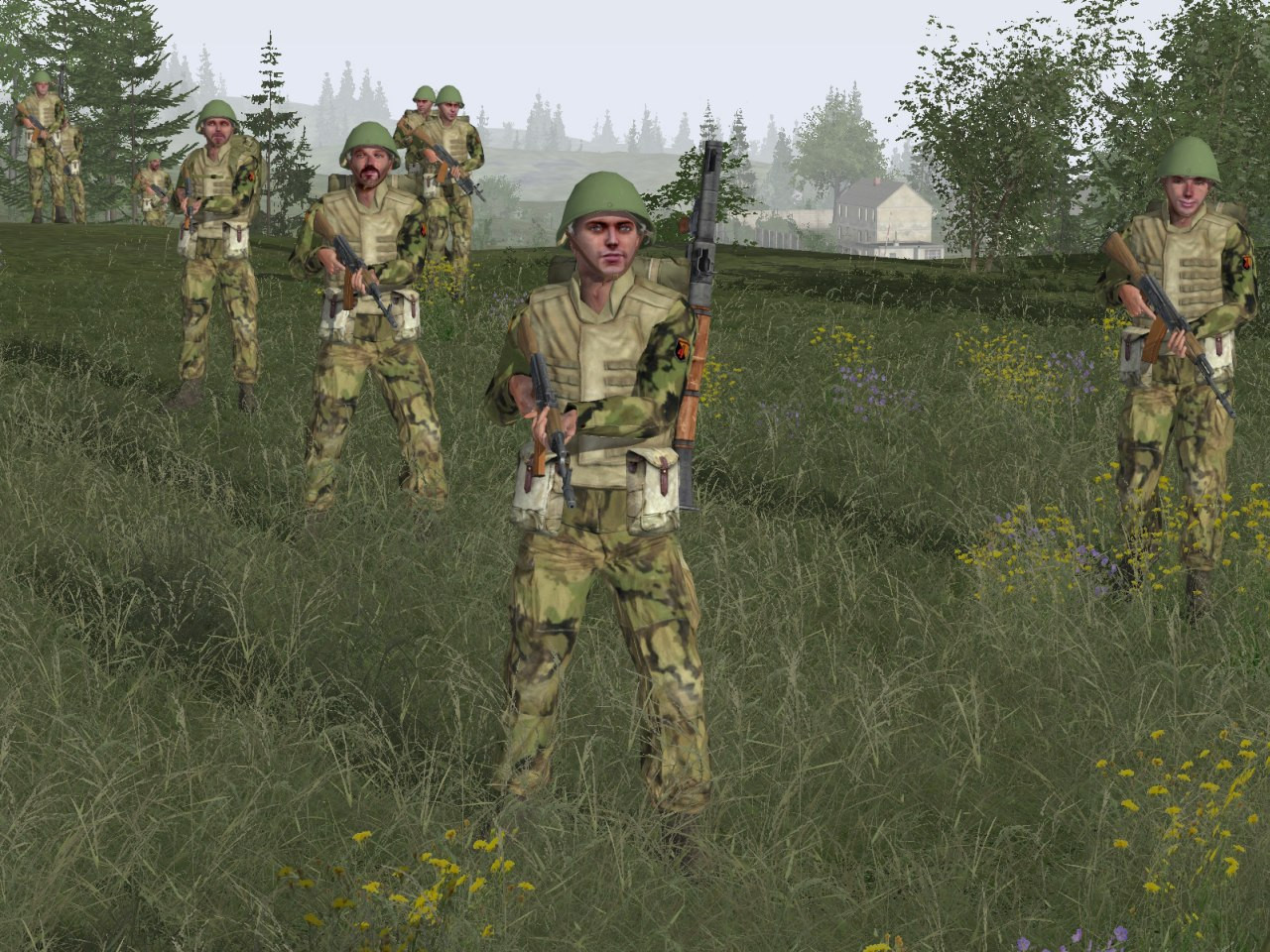 Arma: Armed Assault - кадр 5