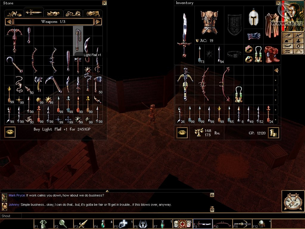 Neverwinter Nights - кадр 1