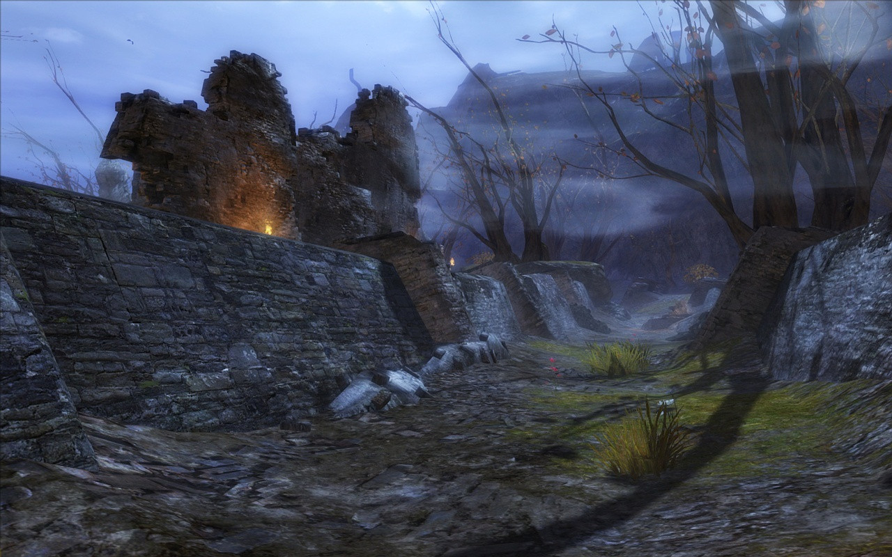 Guild Wars 2 - кадр 14