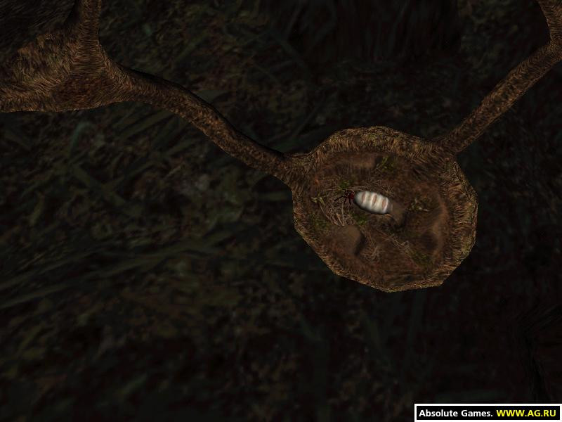 Empire Of The Ants - кадр 1