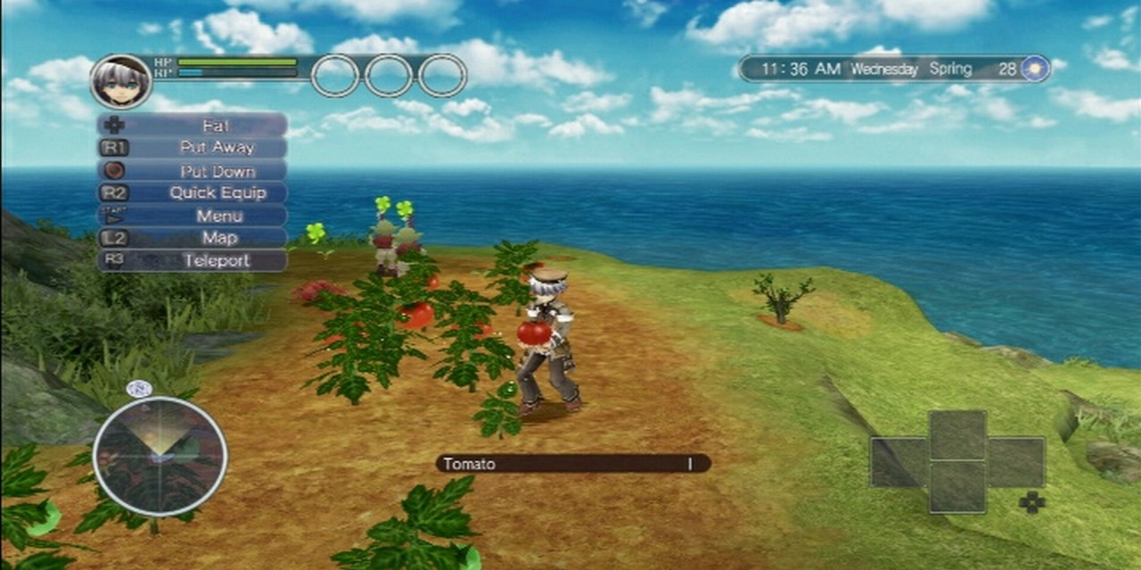 Rune Factory: Tides of Destiny - кадр 1