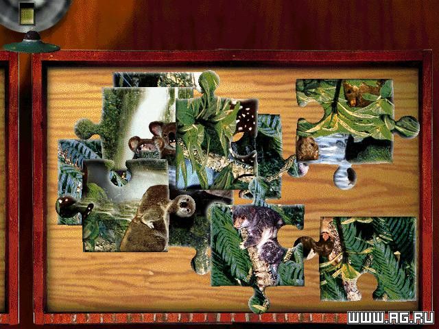 Digital Photo Puzzle - кадр 1