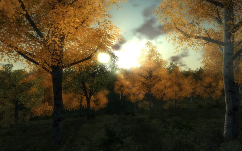 3D Hunting 2010 - кадр 1