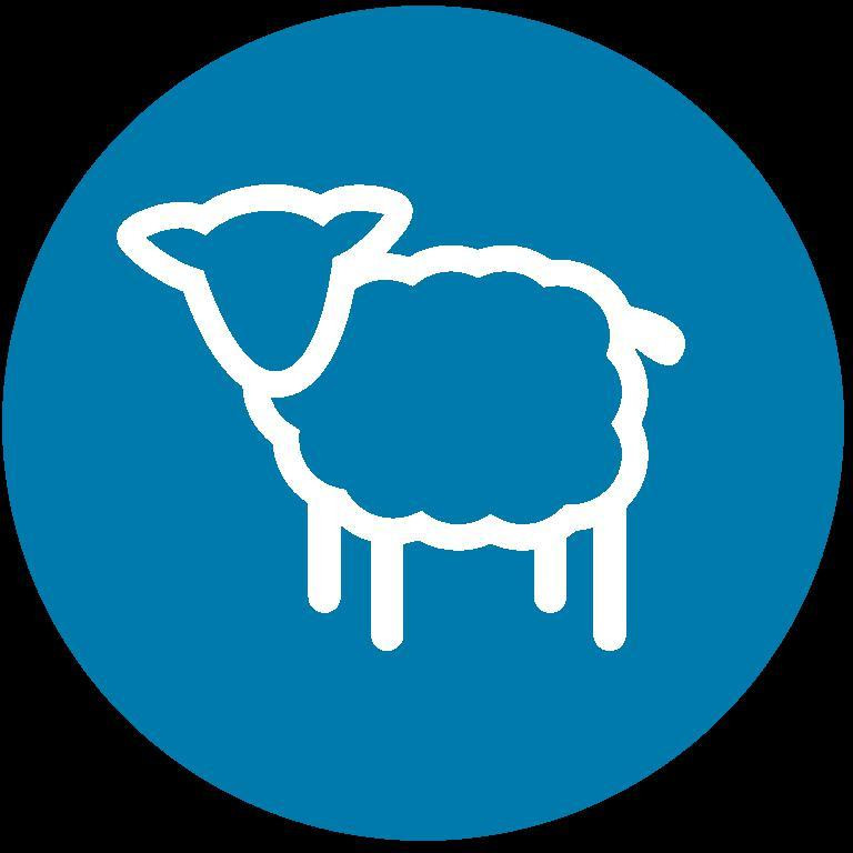 The Last Sheep (itch) - кадр 1