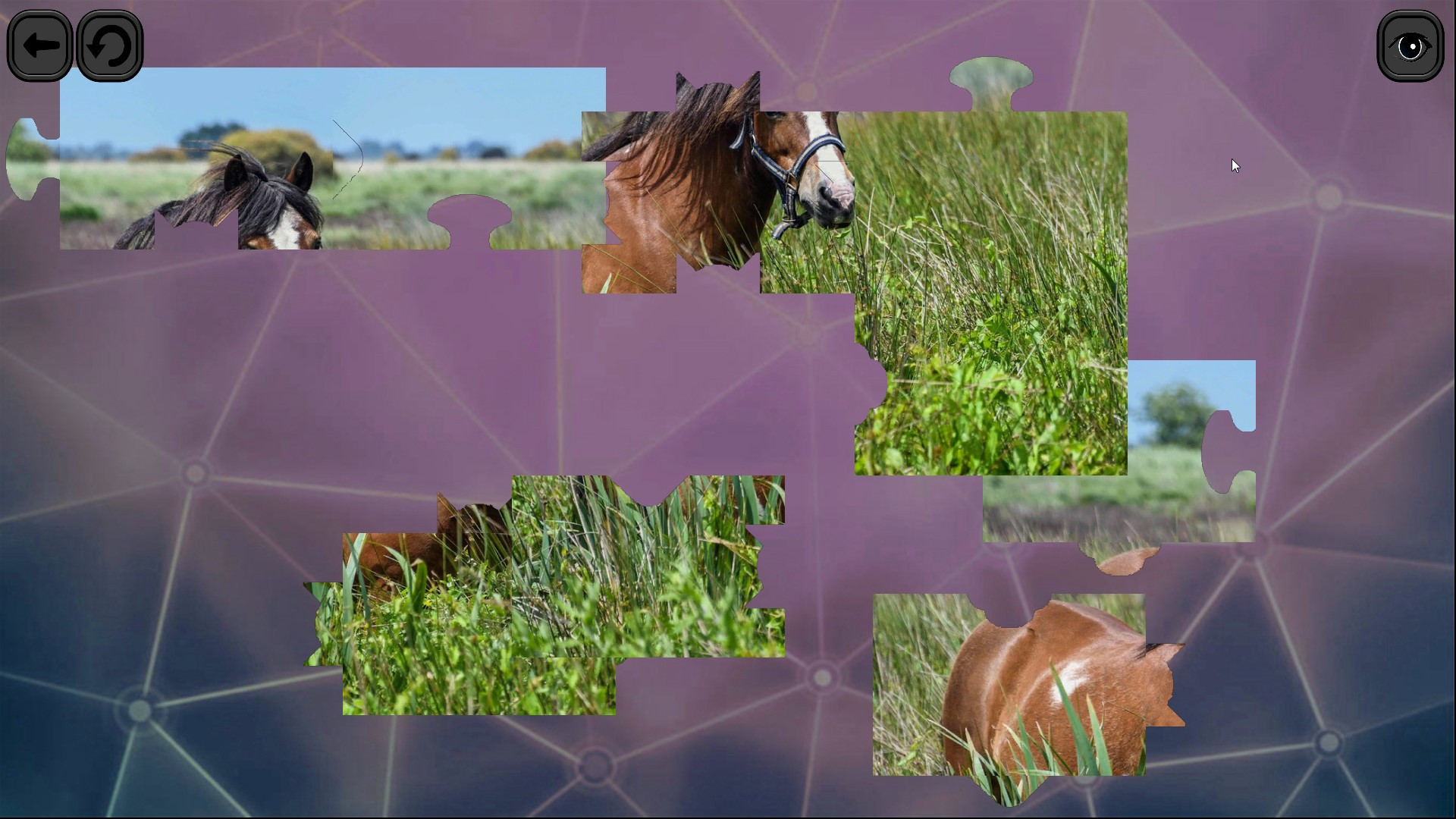 Puzzles for smart: Horses - кадр 1