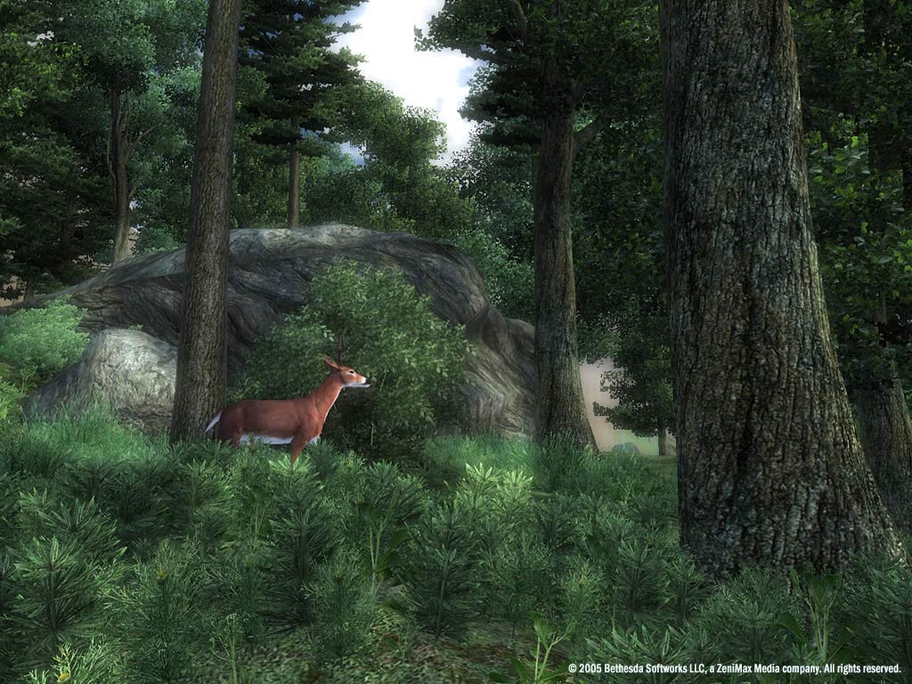 The Elder Scrolls 4: Oblivion - кадр 6
