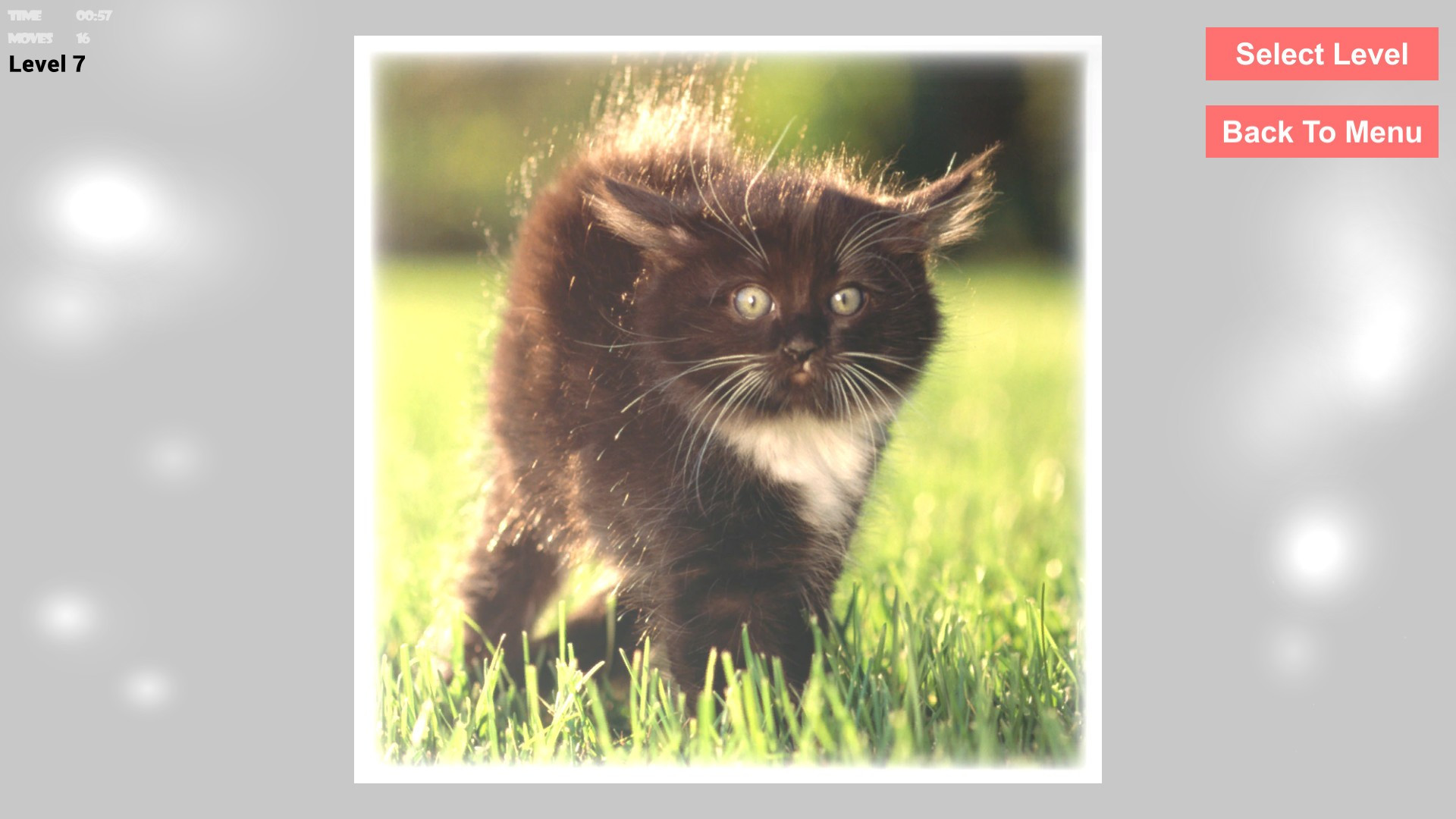 Cats Epic Puzzles - кадр 2