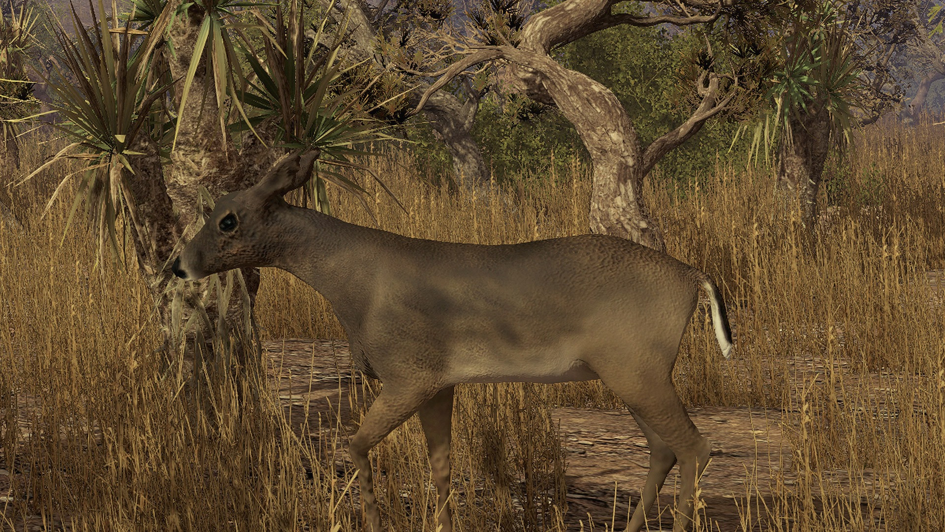 Pro Deer Hunting - кадр 1
