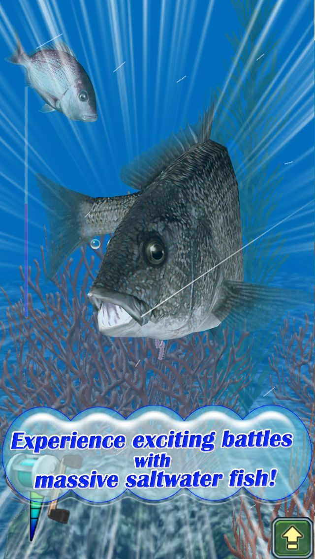 Reel Fishing Pocket 2: Ocean - кадр 1