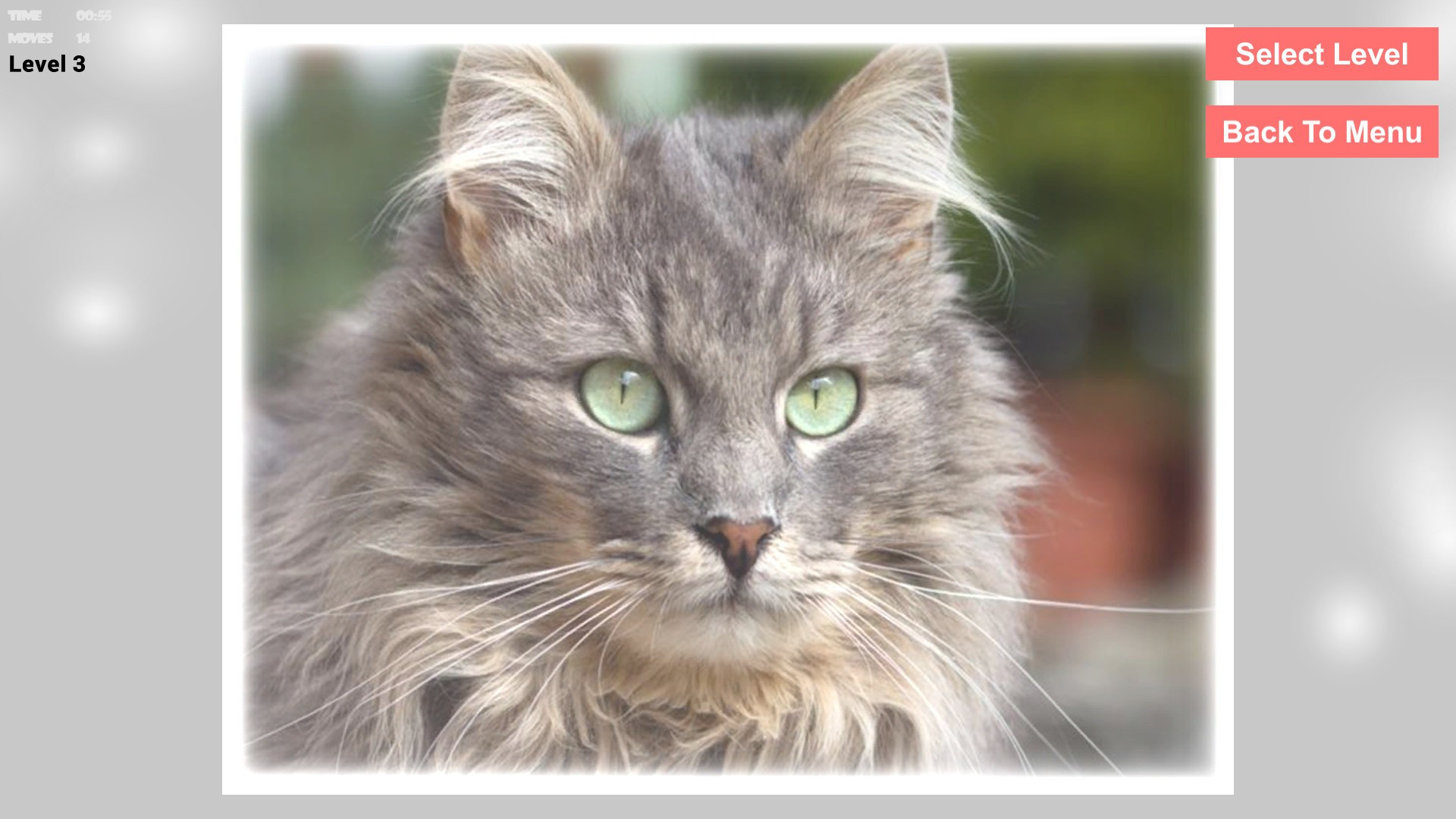 Cats Epic Puzzles - кадр 3