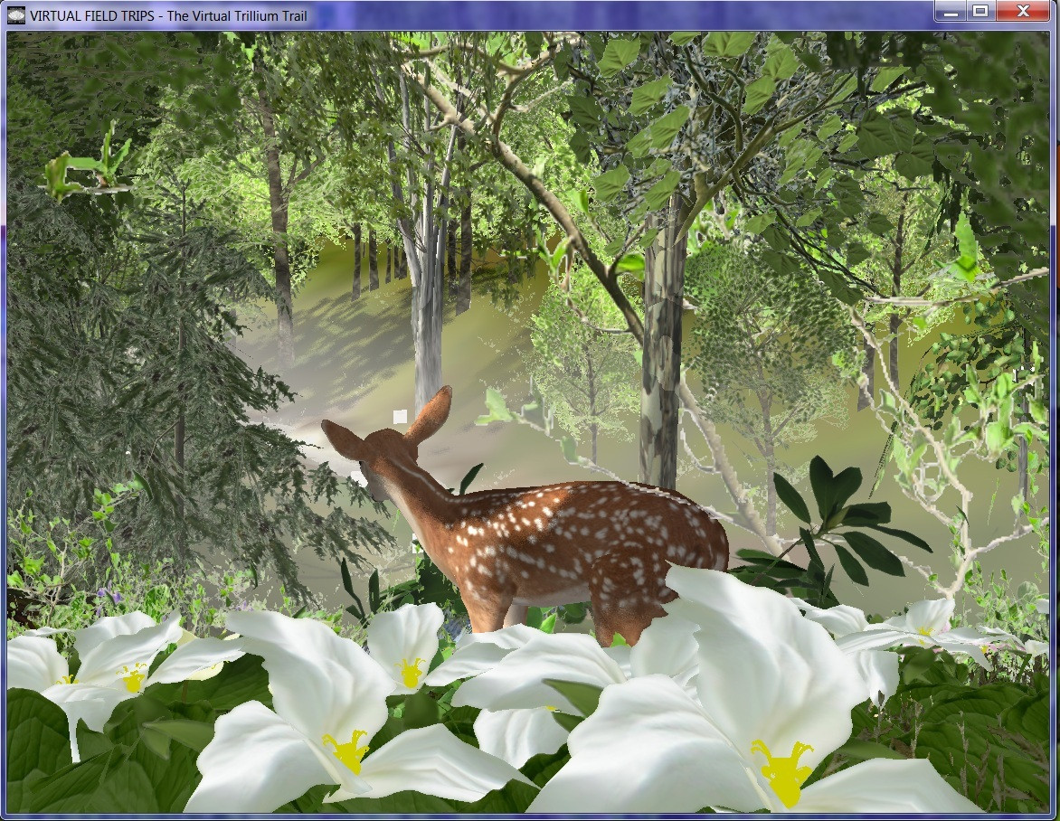 The Virtual Trillium Trail v. 2.0.4 (itch) - кадр 1