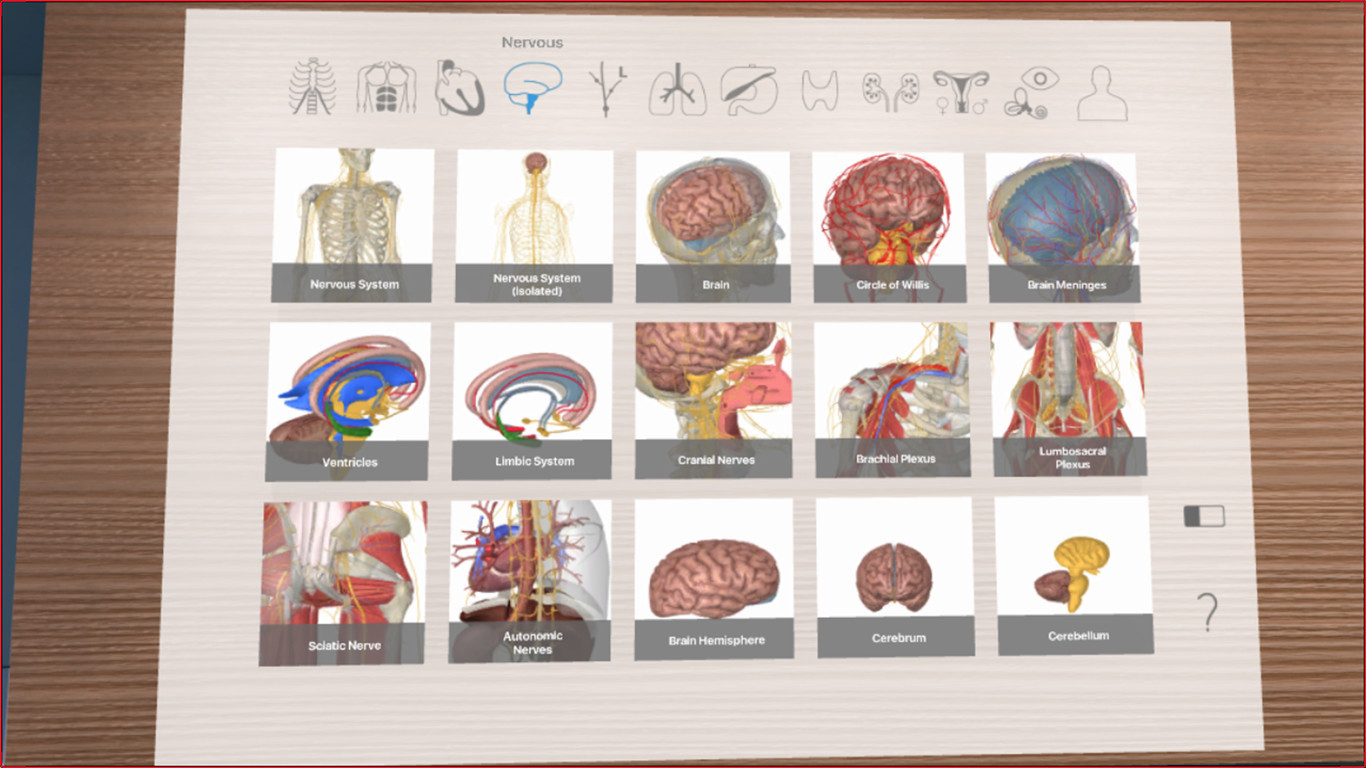 3D Organon VR Anatomy - кадр 1