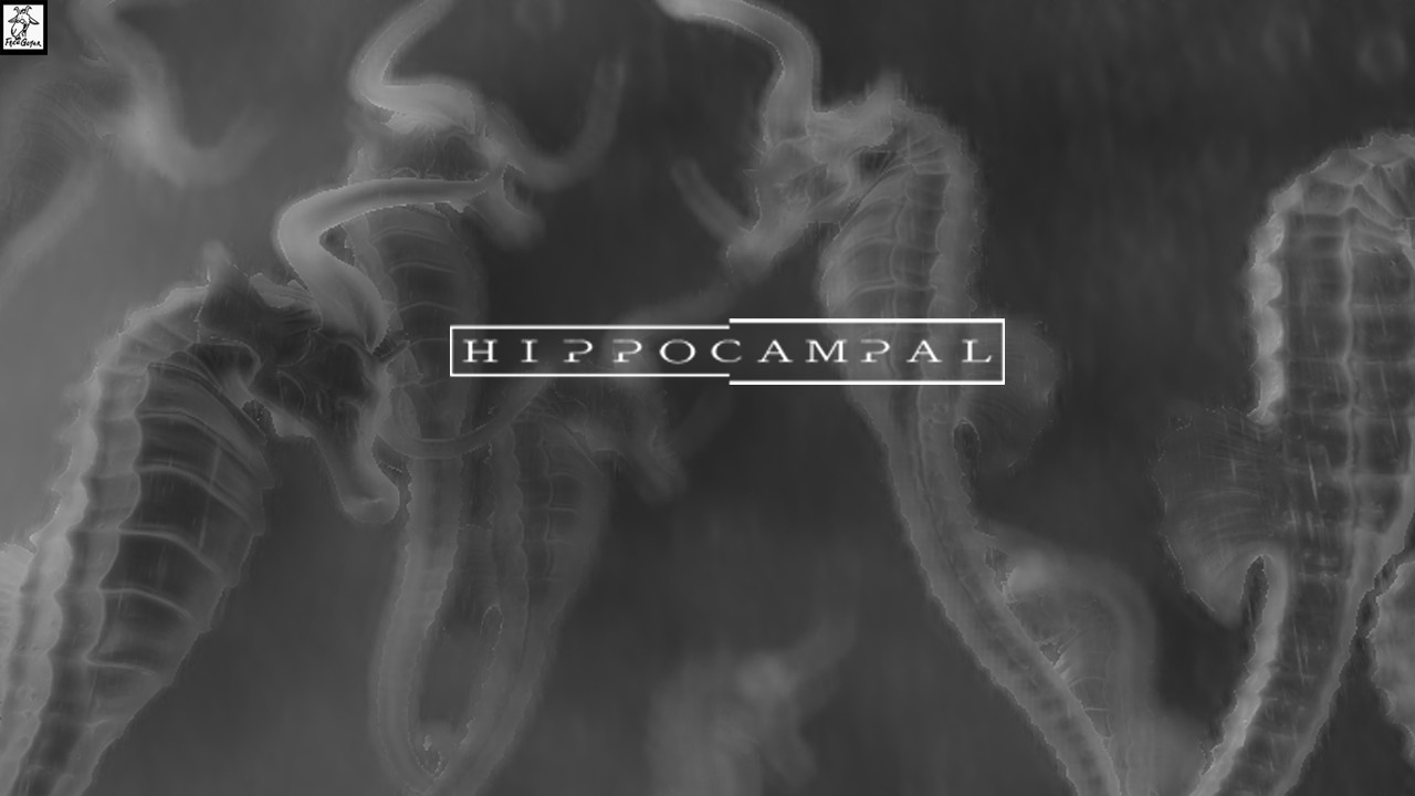 hippocampal (itch) - кадр 1