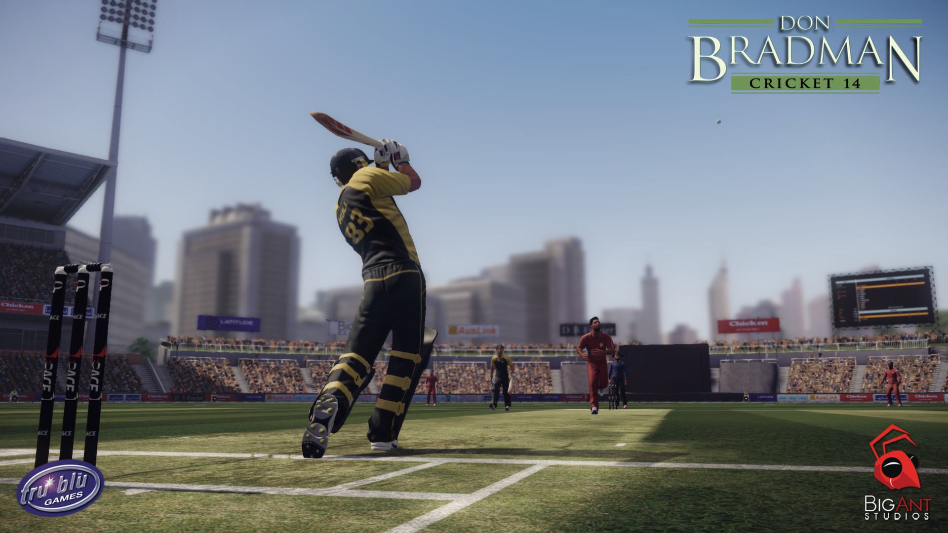 Don Bradman Cricket 14 - кадр 1