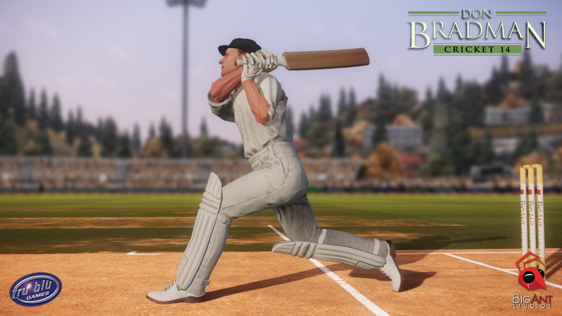 Don Bradman Cricket 14 - кадр 2
