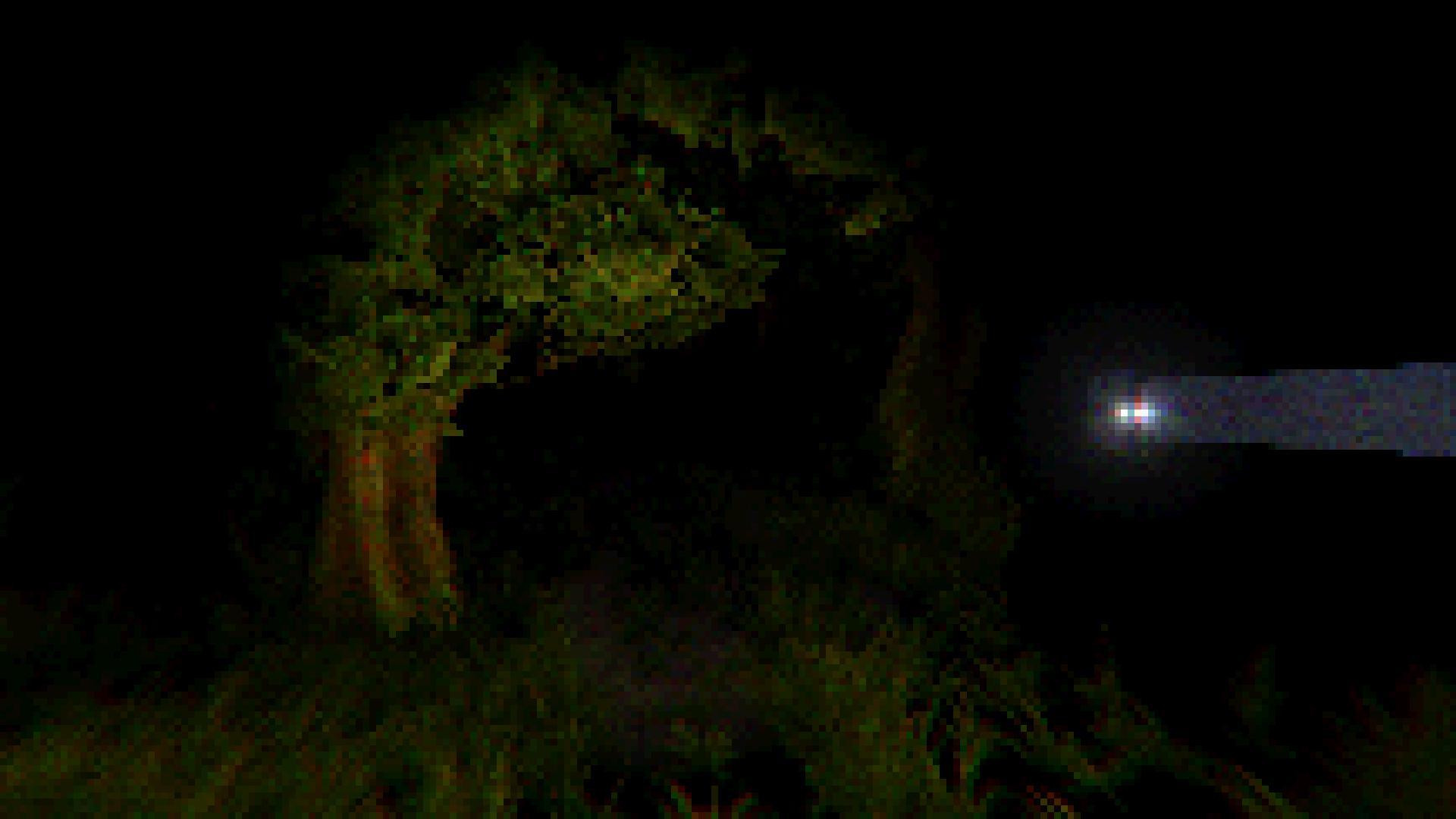 THE FOREST - PSX STYLE (itch) - кадр 1