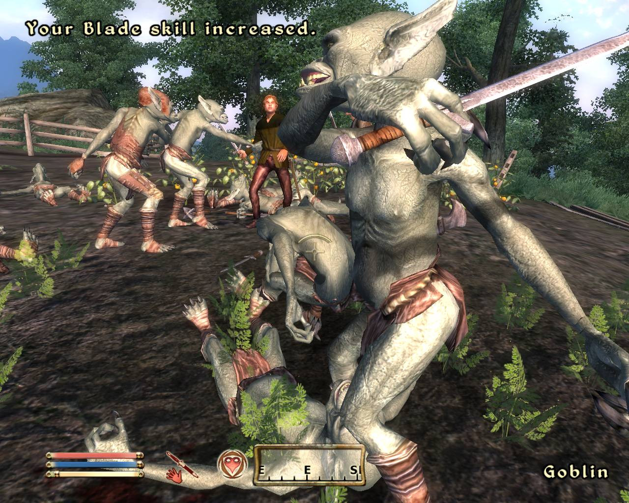 The Elder Scrolls 4: Oblivion - кадр 8