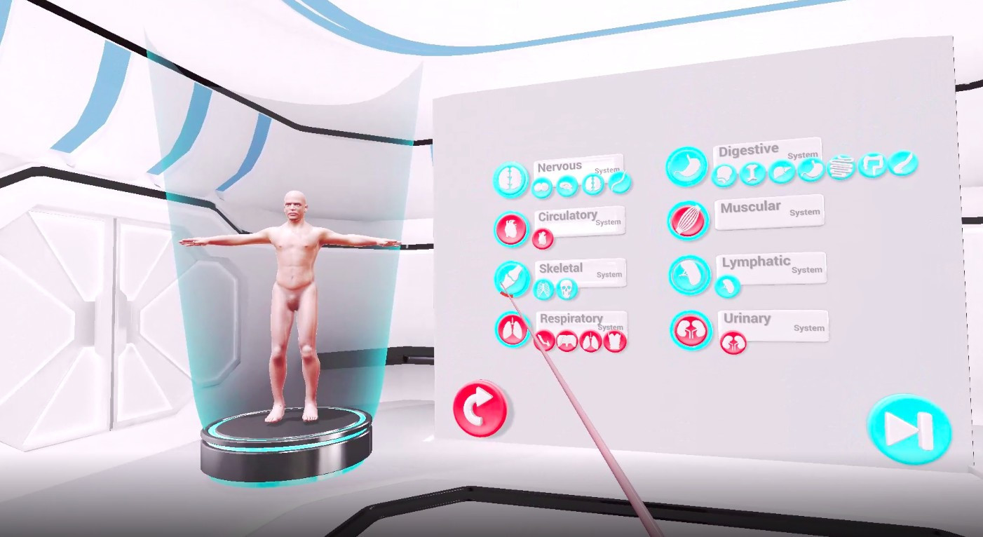 VRLab Academy: Anatomy VR - кадр 1