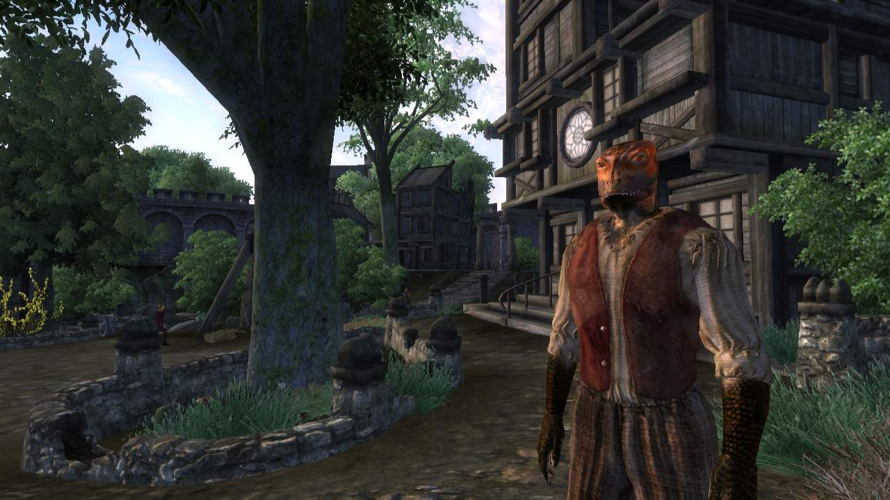 The Elder Scrolls 4: Oblivion - кадр 9