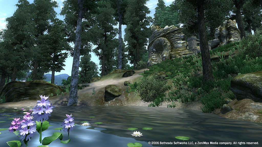 The Elder Scrolls 4: Oblivion - кадр 11