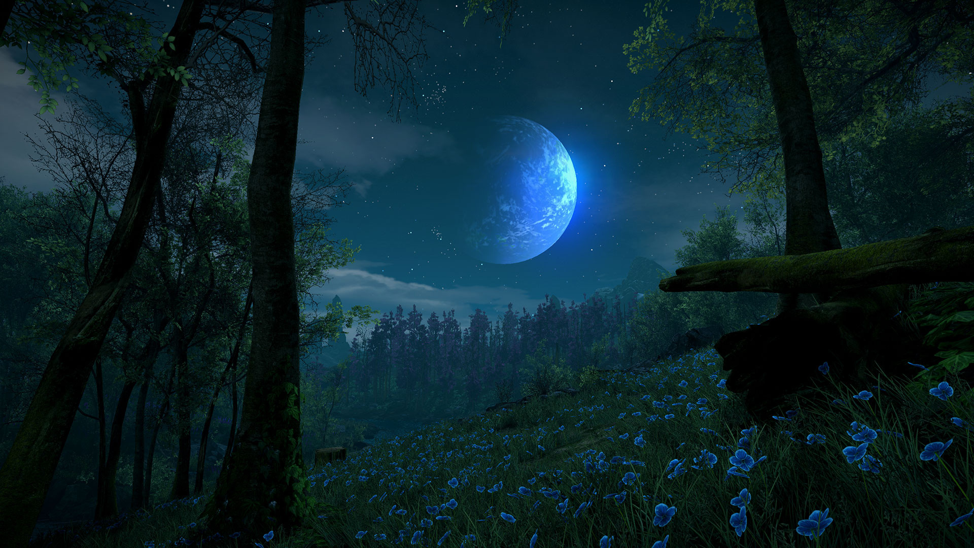 Eastshade - кадр 3