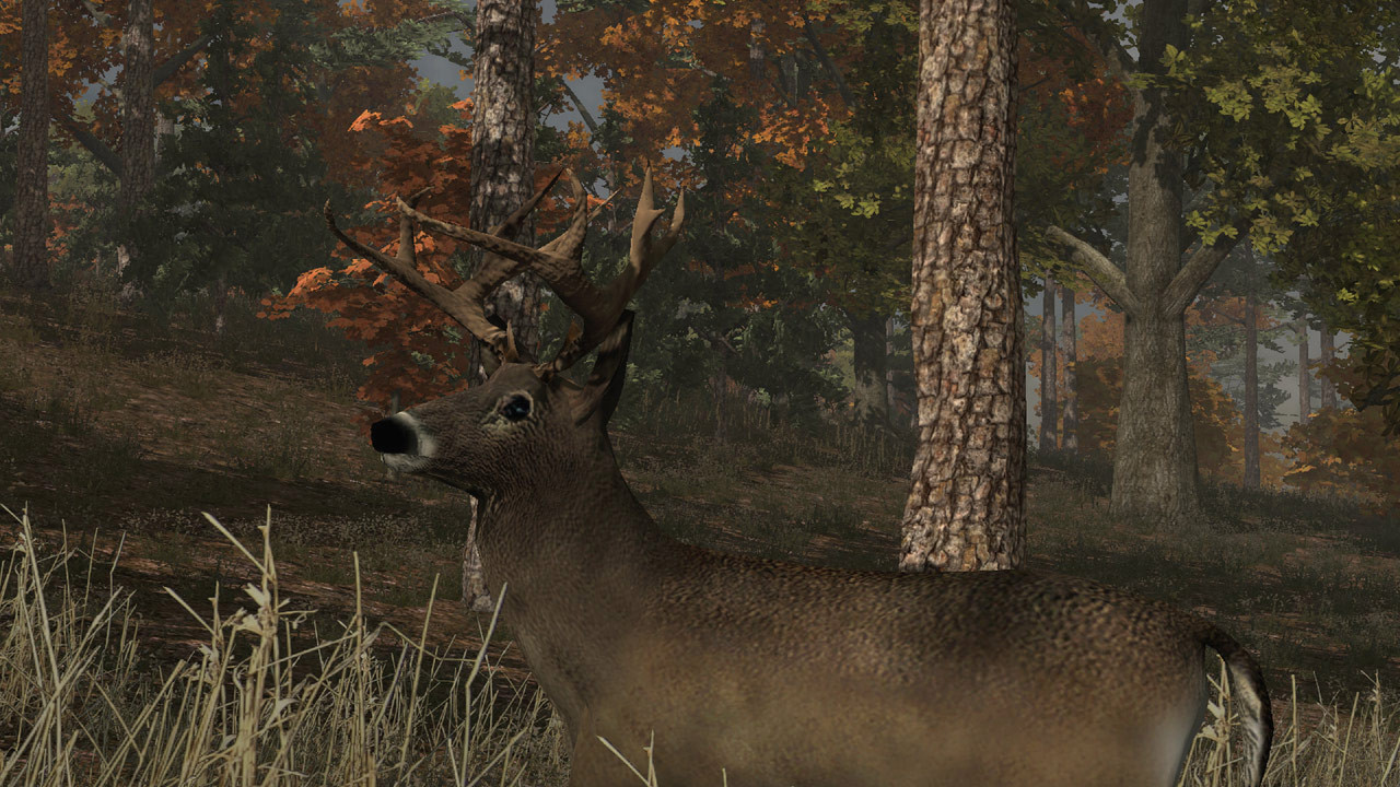 Deer Simulator - кадр 1