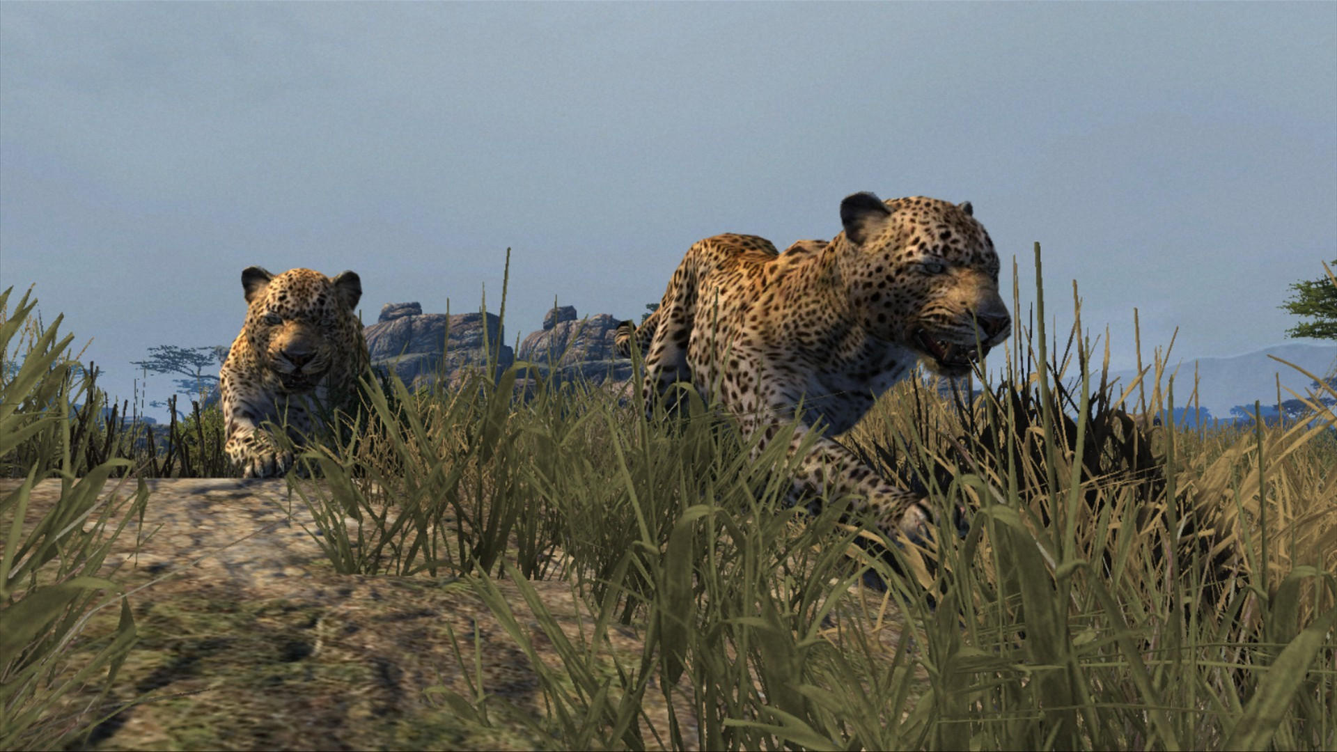 Cabela's Dangerous Hunts 2013 - кадр 1